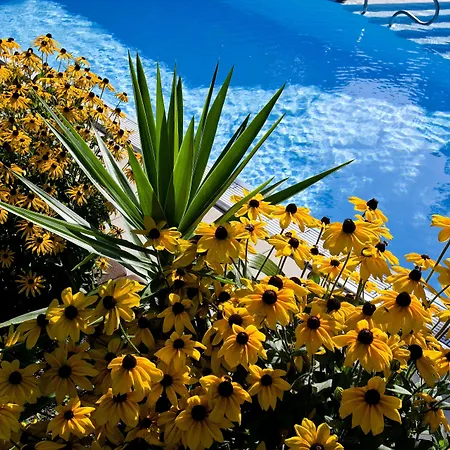 Kurhaus Dr. Petershofer