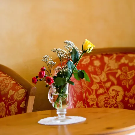 Hotel Kurhaus Dr. Petershofer Wolfsegg am Hausruck