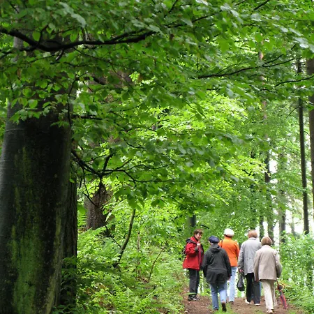 فندق Kurhaus Dr. Petershofer