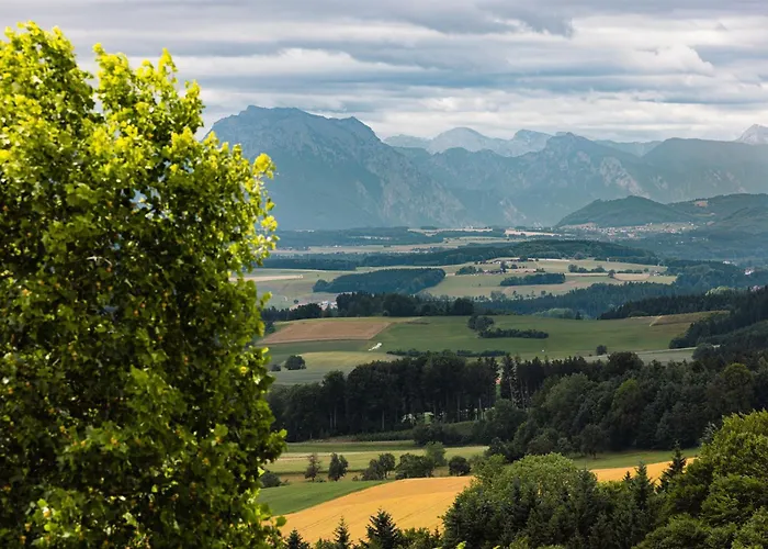 Hotel Kurhaus Dr. Petershofer Wolfsegg am Hausruck