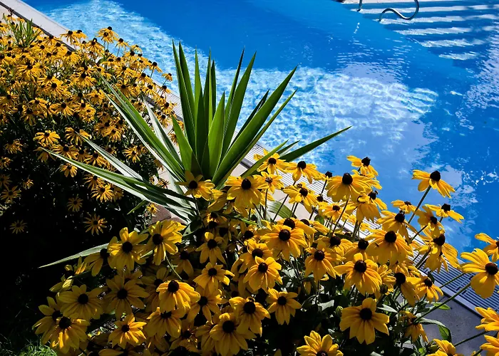 Kurhaus Dr. Petershofer