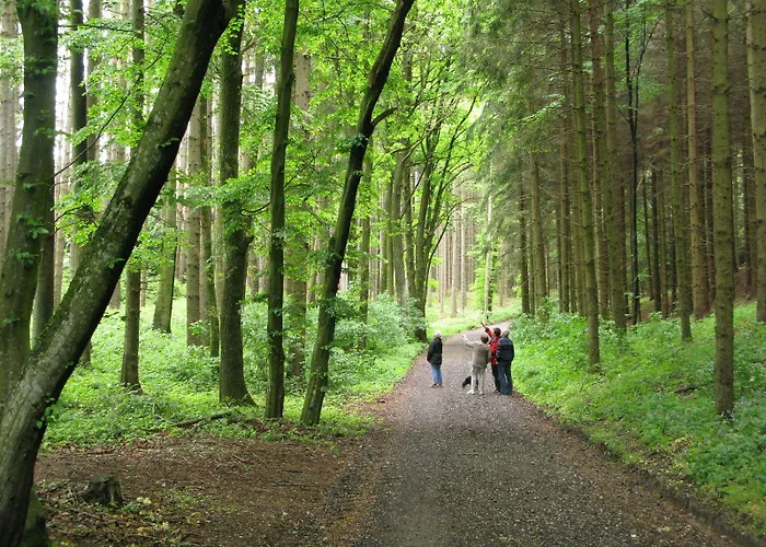 Hotel Kurhaus Dr. Petershofer Wolfsegg am Hausruck