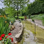 Отель Kurhaus Dr. Petershofer Wolfsegg am Hausruck