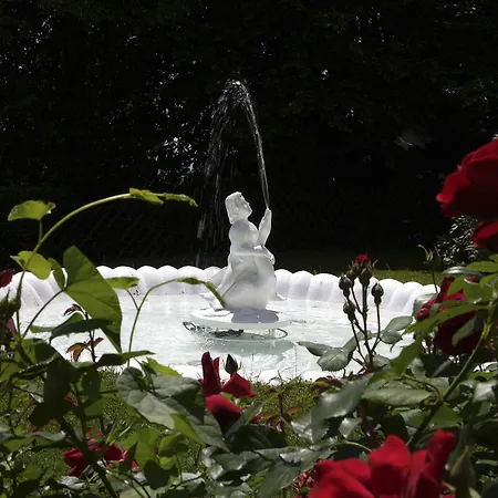 ホテル Kurhaus Dr. Petershofer Wolfsegg am Hausruck