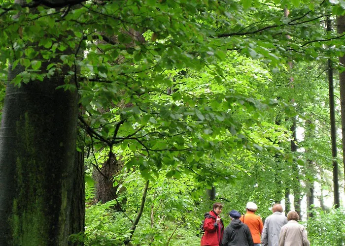 Hotel Kurhaus Dr. Petershofer